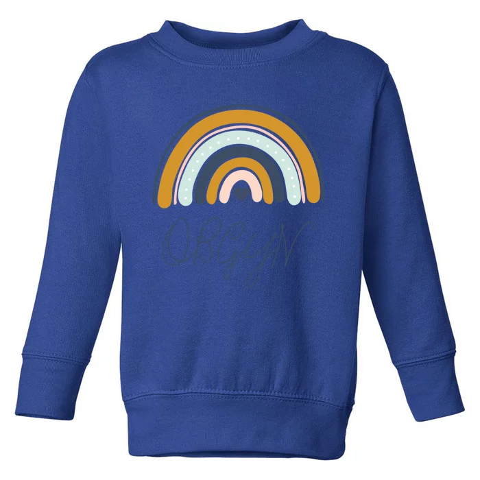 Boho Rainbow Obgyn Nurse Labor And Delivery Nurse Squad Gift Toddler Sweatshirt