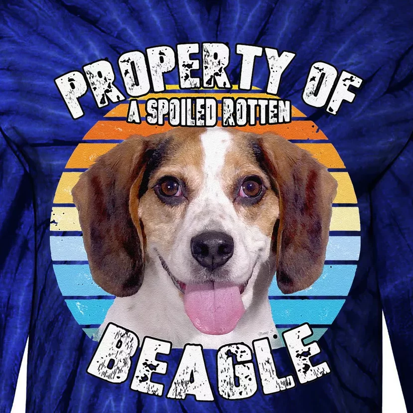 Beagle Retro Property Of Cute Dog Tie-Dye Long Sleeve Shirt