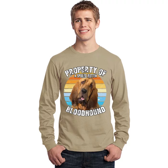 Bloodhound Retro Property Of Cute Dog Tall Long Sleeve T-Shirt