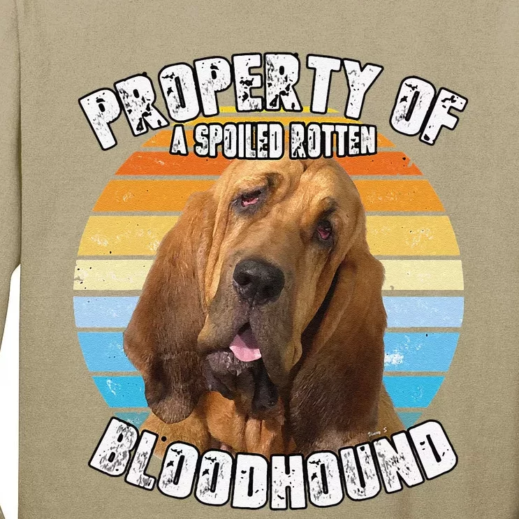 Bloodhound Retro Property Of Cute Dog Tall Long Sleeve T-Shirt