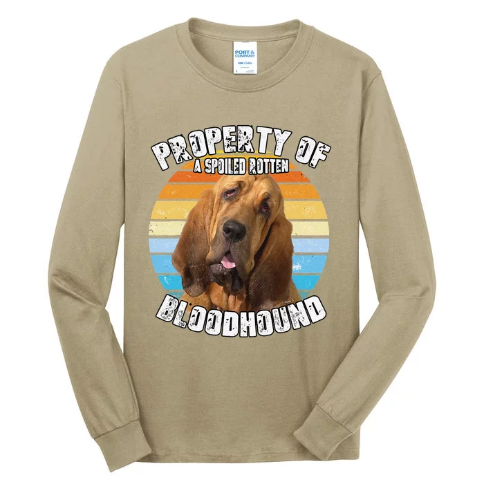 Bloodhound Retro Property Of Cute Dog Tall Long Sleeve T-Shirt