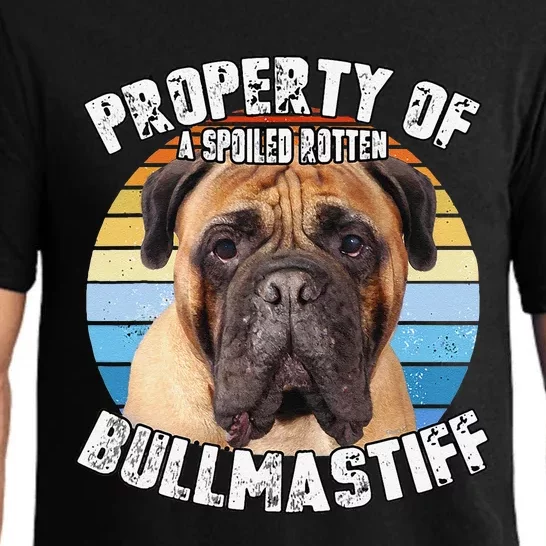 Bullmastiff Retro Property Of Cute Dog Pajama Set