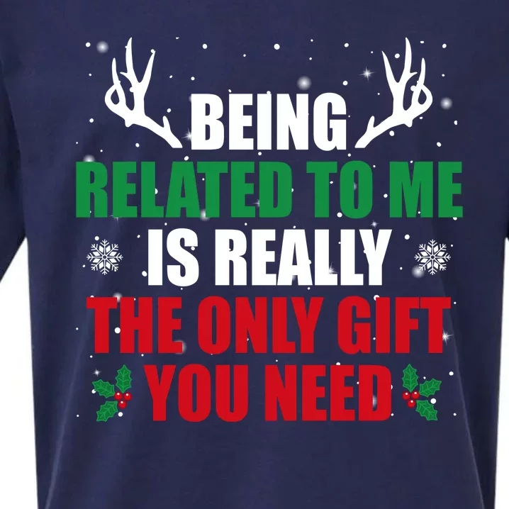 Being Related To Me Is Really The Only Gift You Need Funny Christmas Sueded Cloud Jersey T-Shirt