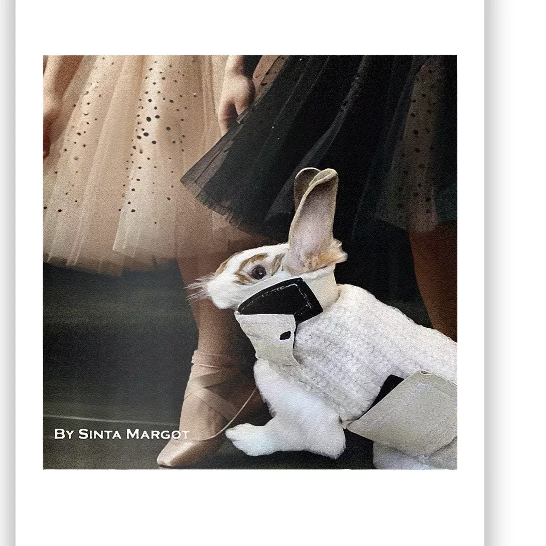 Bunny Rabbit With Ballet Dancers Poster