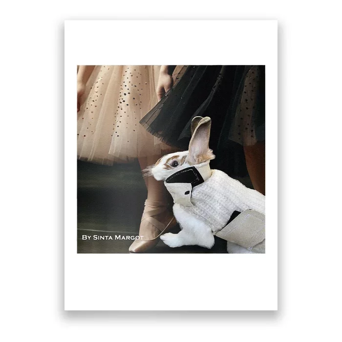 Bunny Rabbit With Ballet Dancers Poster