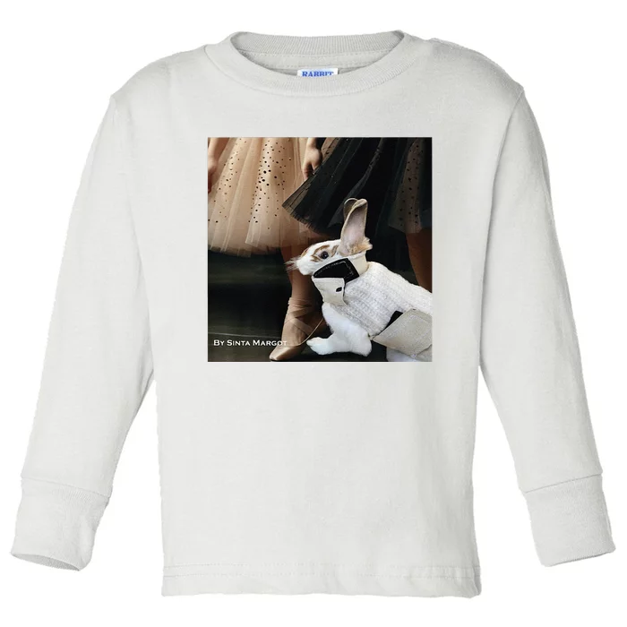 Bunny Rabbit With Ballet Dancers Toddler Long Sleeve Shirt