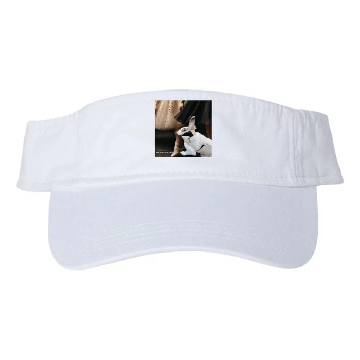 Bunny Rabbit With Ballet Dancers Valucap Bio-Washed Visor