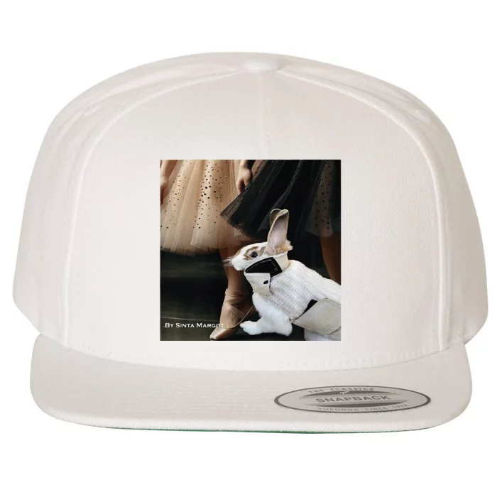 Bunny Rabbit With Ballet Dancers Wool Snapback Cap