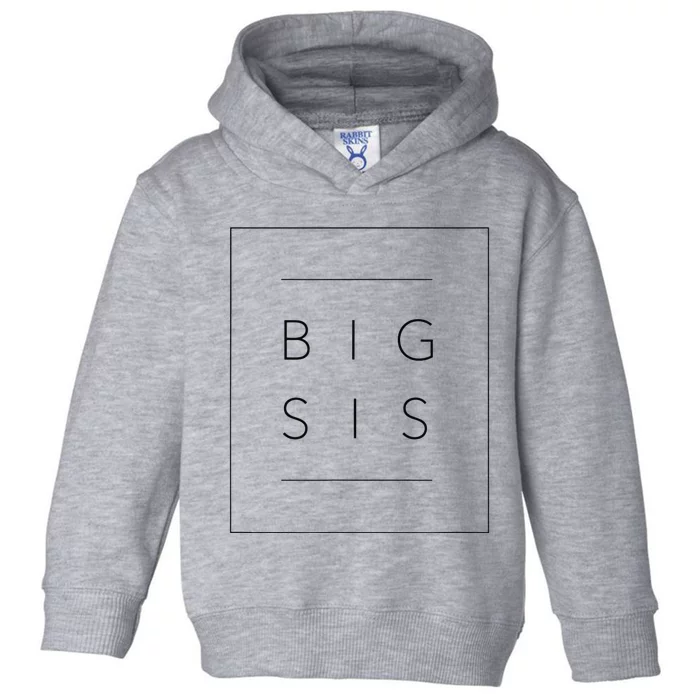 Big Sister Announcement Promoted to Big Sis Toddler Hoodie