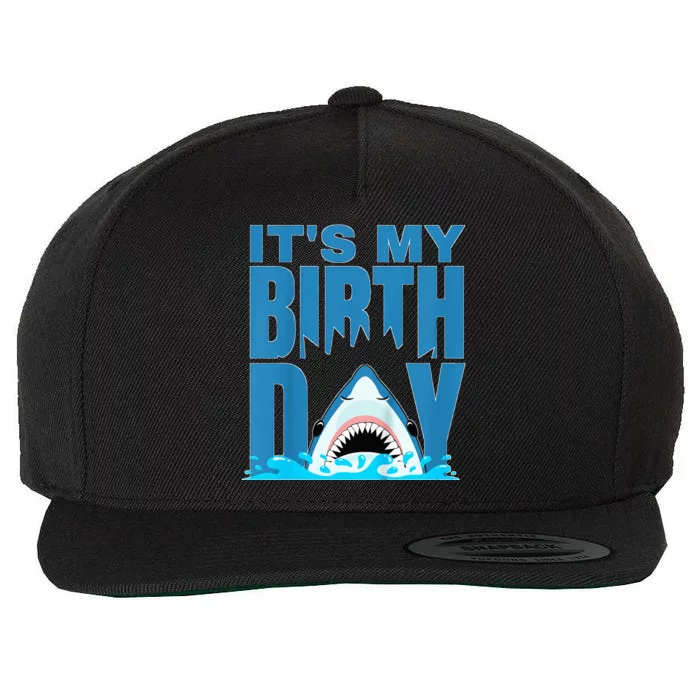 Blue Shark Birthday Shark Bite Its My Birthday Wool Snapback Cap