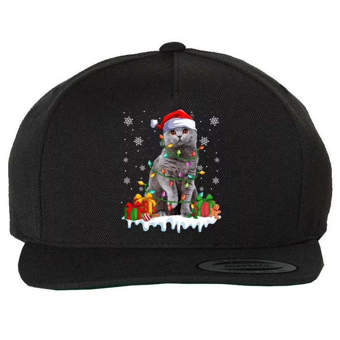 British Shorthair Cat Xmas Light Christmas Kitten Lover Funny Gift Wool Snapback Cap