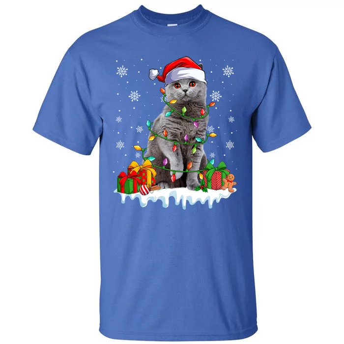 British Shorthair Cat Xmas Light Christmas Kitten Lover Funny Gift Tall T-Shirt