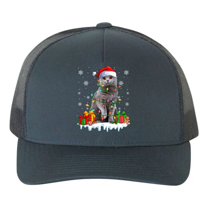 British Shorthair Cat Xmas Light Christmas Kitten Lover Funny Gift Yupoong Adult 5-Panel Trucker Hat