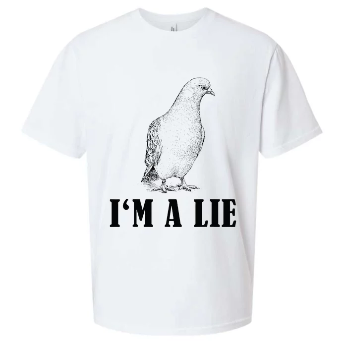 Birds Spie Conspiracy Joke Meme Surveillance Sueded Cloud Jersey T-Shirt