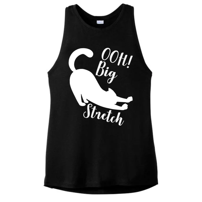 Big Stretch Funny Cat Lover Ladies Tri-Blend Wicking Tank