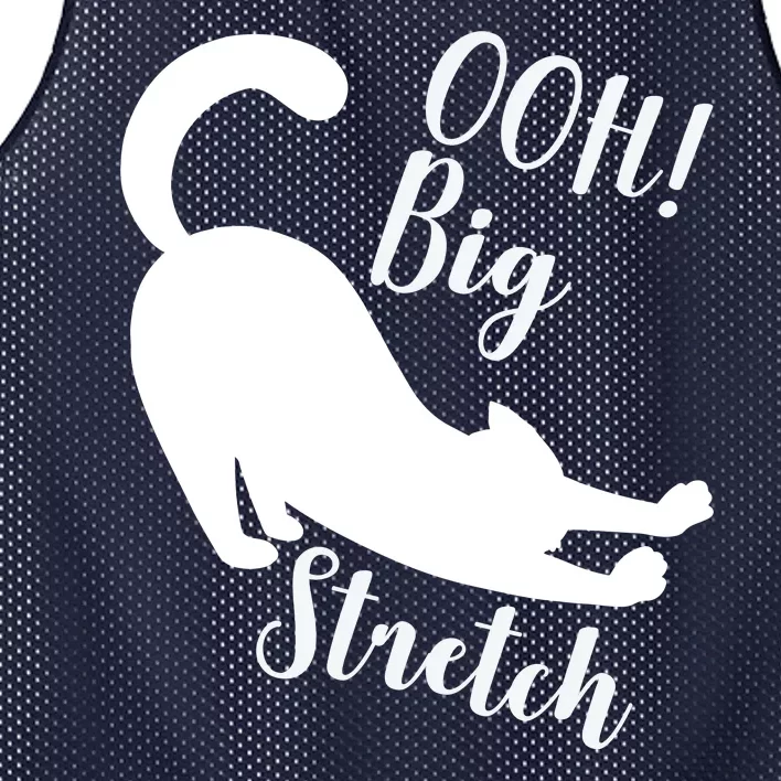 Big Stretch Funny Cat Lover Mesh Reversible Basketball Jersey Tank