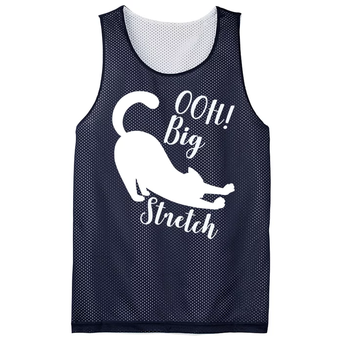 Big Stretch Funny Cat Lover Mesh Reversible Basketball Jersey Tank