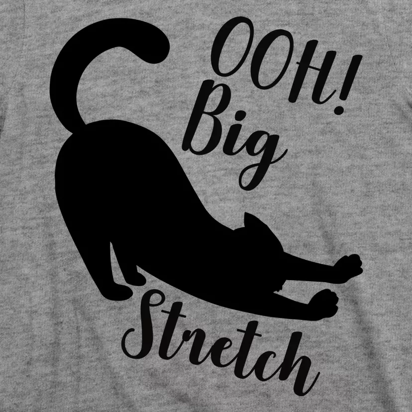 Big Stretch Funny Cat Lover T-Shirt