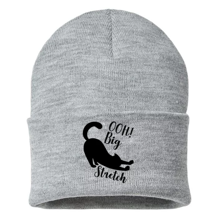 Big Stretch Funny Cat Lover Sustainable Knit Beanie