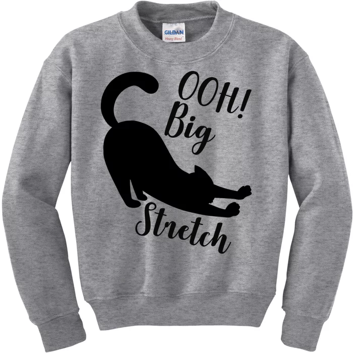 Big Stretch Funny Cat Lover Kids Sweatshirt