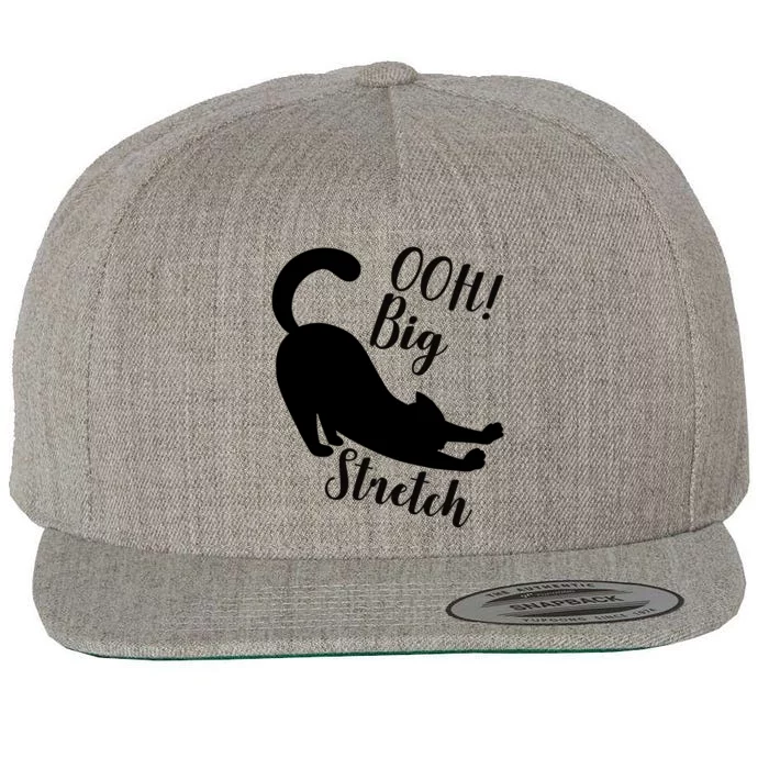 Big Stretch Funny Cat Lover Wool Snapback Cap