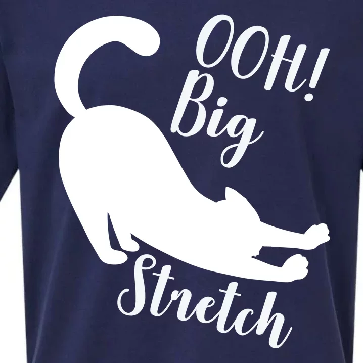 Big Stretch Funny Cat Lover Sueded Cloud Jersey T-Shirt