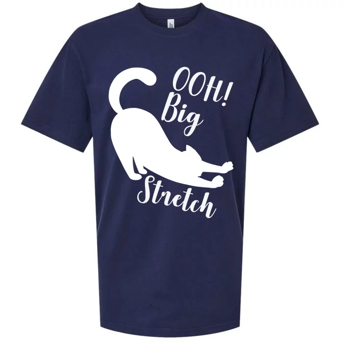 Big Stretch Funny Cat Lover Sueded Cloud Jersey T-Shirt