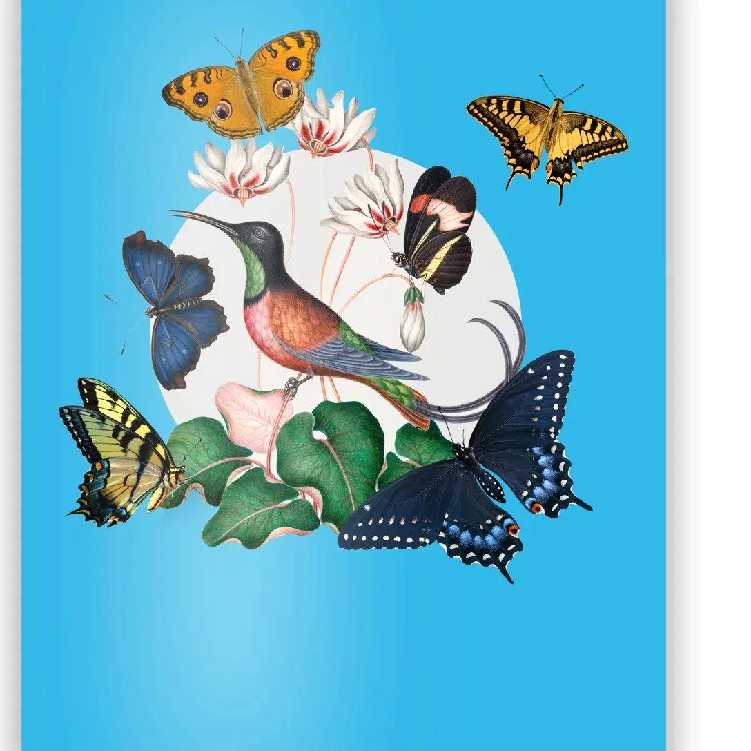 Butterfly Spring Nature Poster