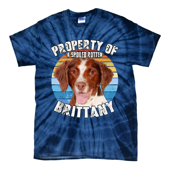 Brittany Spaniel Property Of Cute Dog Tie-Dye T-Shirt