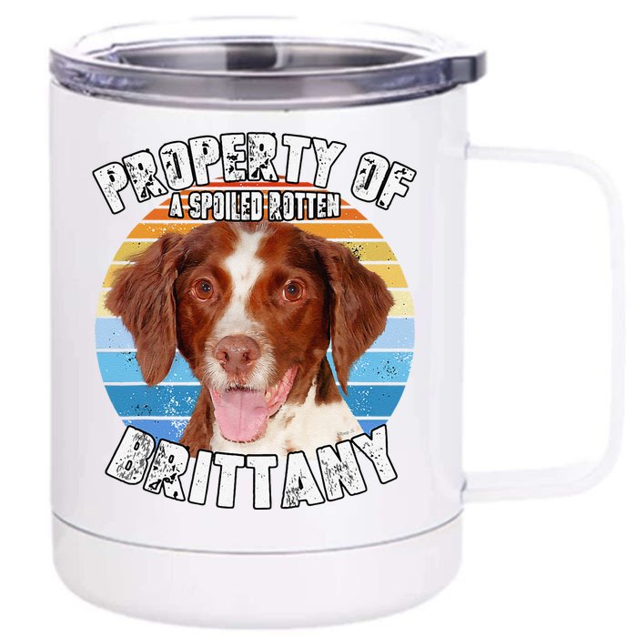 Brittany Spaniel Property Of Cute Dog Front & Back 12oz Stainless Steel Tumbler Cup