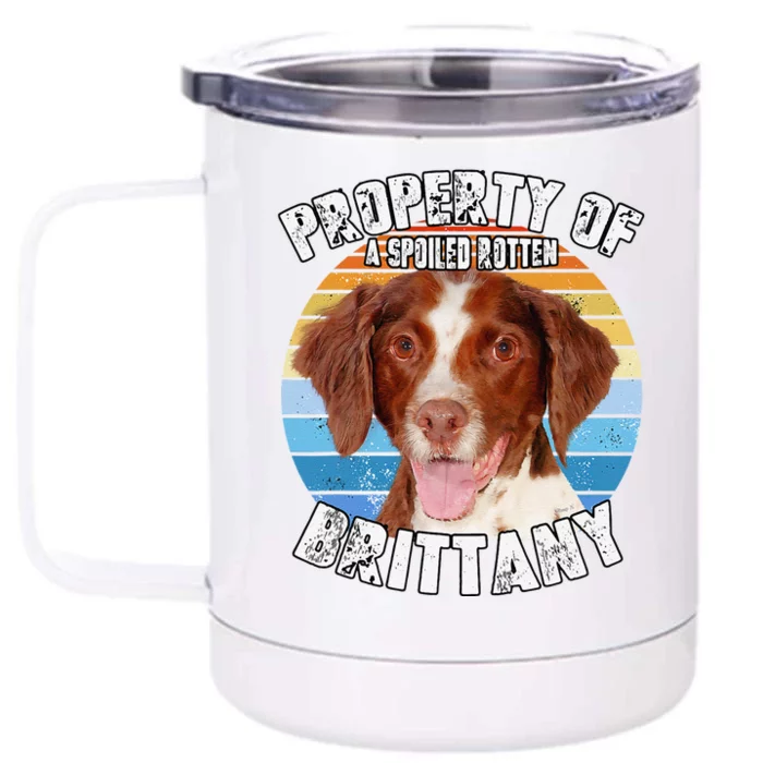 Brittany Spaniel Property Of Cute Dog Front & Back 12oz Stainless Steel Tumbler Cup