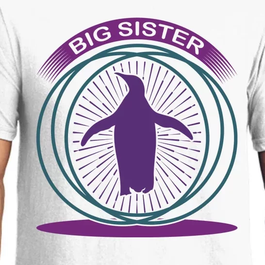 Big Sister Penguin Pajama Set