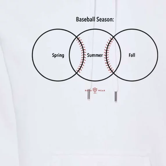 Baseball Season Spring Summer Fall Premium Hoodie