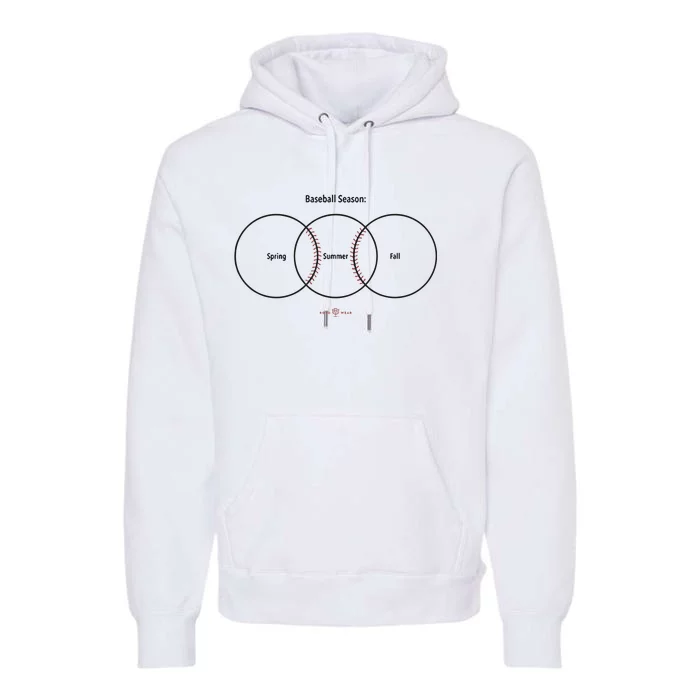 Baseball Season Spring Summer Fall Premium Hoodie