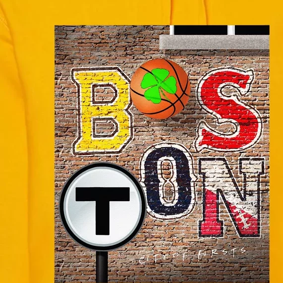 Boston Sports Teams Fan Football Baseball Hockey Basketball Premium Hoodie