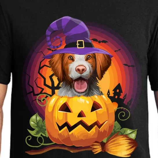 Brittany Spaniel Witch Pumpkin Halloween Cute Gift Dog Lover Costume Cool Gift Pajama Set