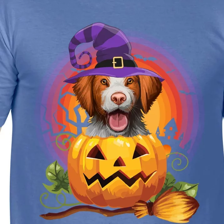 Brittany Spaniel Witch Pumpkin Halloween Cute Gift Dog Lover Costume Cool Gift Comfort Colors T-Shirt