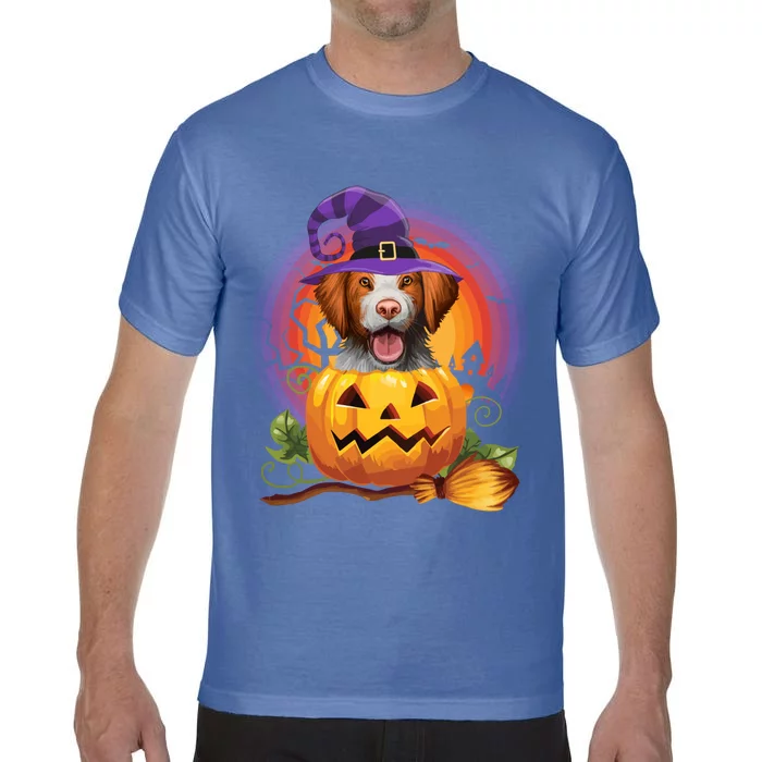 Brittany Spaniel Witch Pumpkin Halloween Cute Gift Dog Lover Costume Cool Gift Comfort Colors T-Shirt