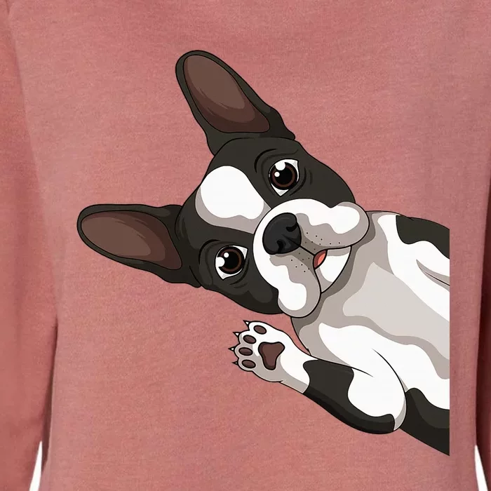 Boston Terrier Bostie Dog Womens California Wash Sweatshirt