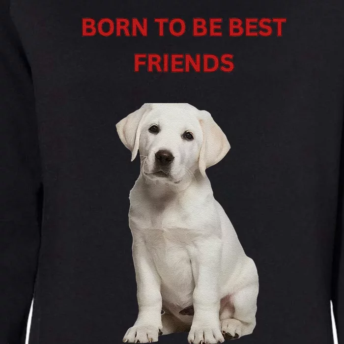 Born To Be Best Friends Design Womens California Wash Sweatshirt