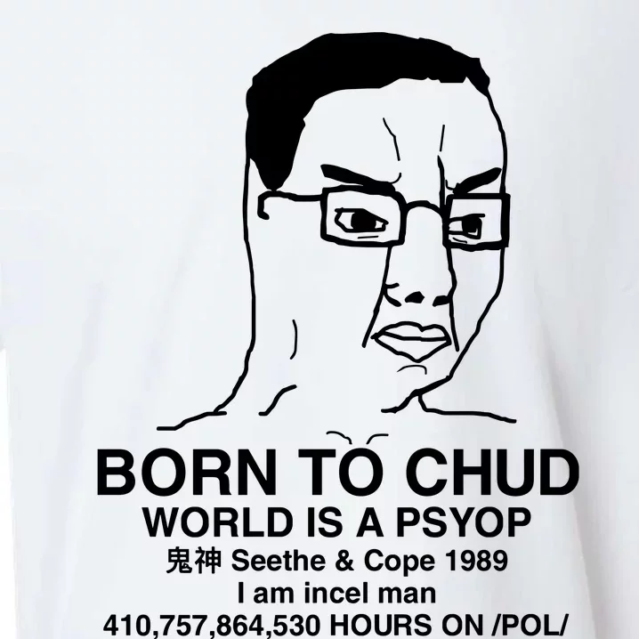 Born To Chud World Is A Psyop Seethe & Cope 1989 Sueded Cloud Jersey T-Shirt