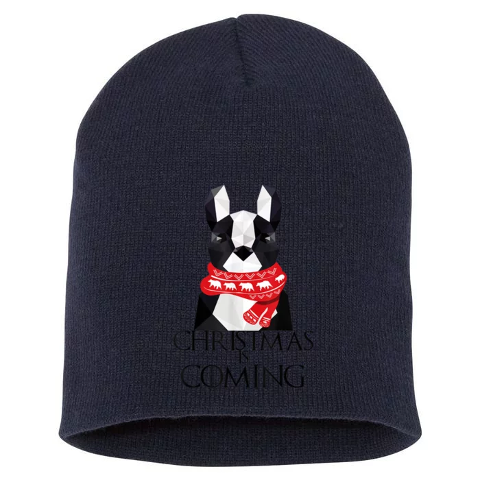 Boston Terrier Christmas Dog Christmas Is Coming Short Acrylic Beanie