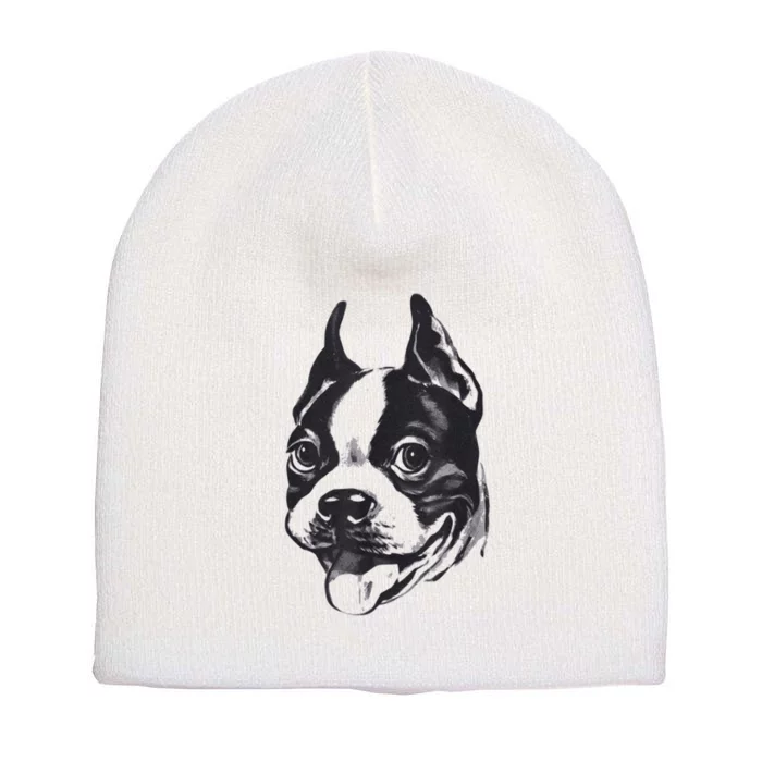 Boston Terrier Dog Lovers Funny Dog Face Classic Short Acrylic Beanie