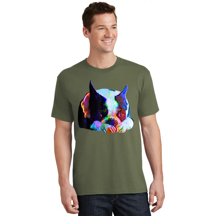 Boston Terrier Dog Lover Art Artsy Colorful Boston Terrier T-Shirt