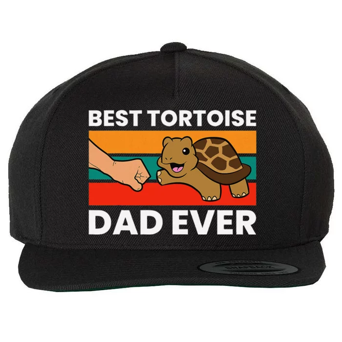 Best Tortoise Dad Ever Wool Snapback Cap