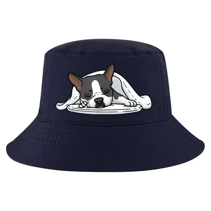 Boston Terrier Dog Sleeping Cool Comfort Performance Bucket Hat