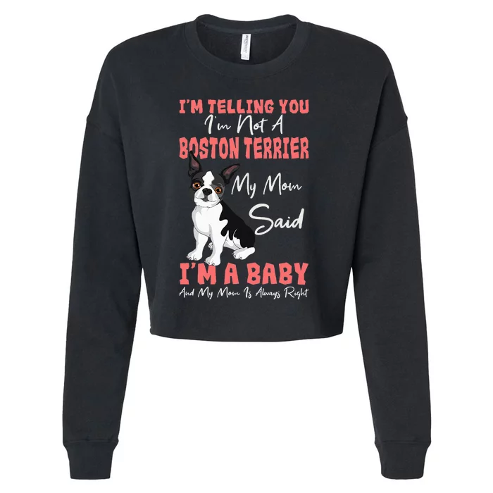 Boston Terrier Mom American Gentleman Dog Lover Mother's Day Cropped Pullover Crew