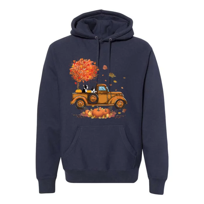 Boston Terrier Pumpkins Truck Autumn Leaf Fall Thanksgiving Premium Hoodie