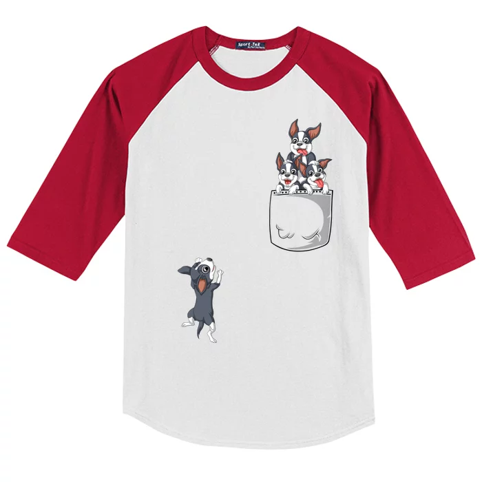 Boston Terrier Pocket Kids Colorblock Raglan Jersey