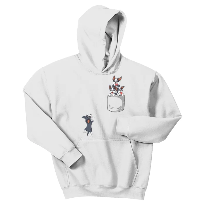 Boston Terrier Pocket Kids Hoodie